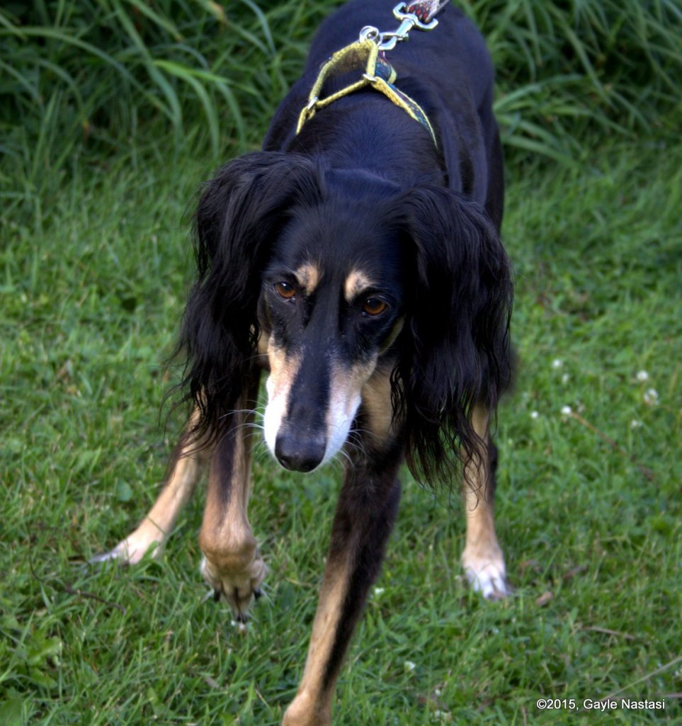 1-Kai13thBday (13).CR2