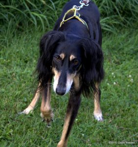 1-Kai13thBday (13).CR2