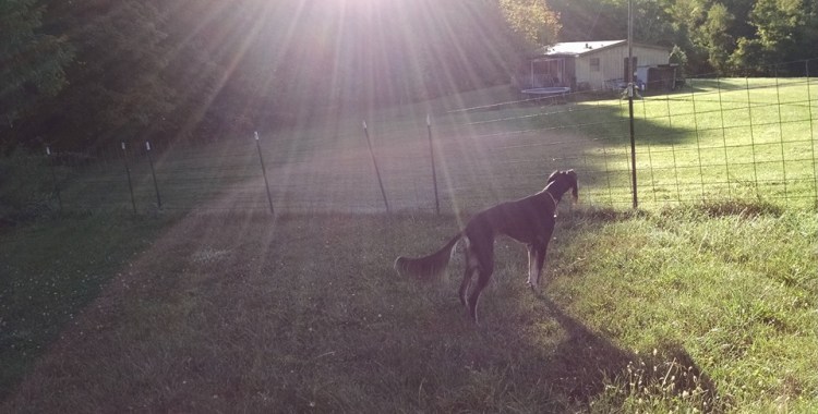 KaiSunburst1stDayFall9-23-15