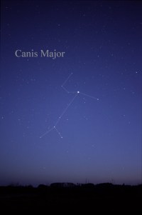 Canis Major